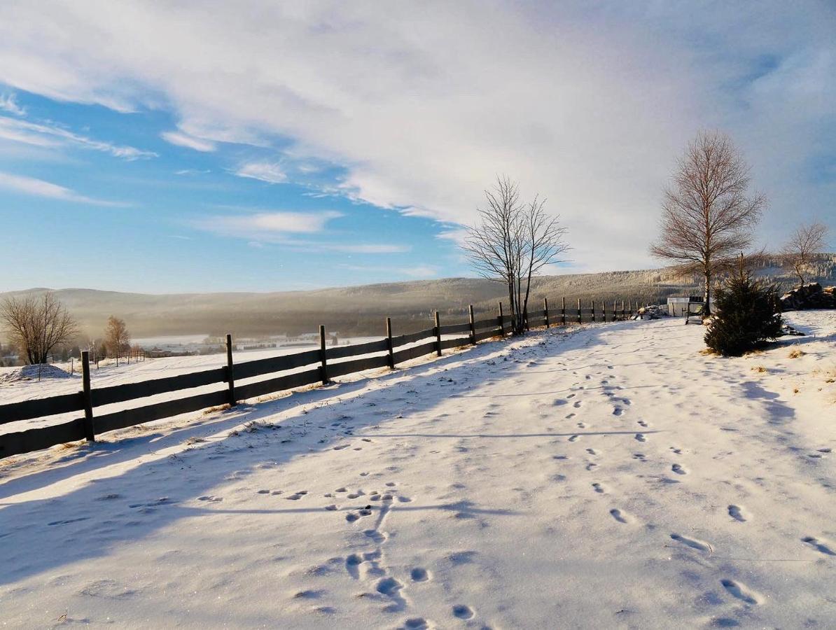 Wzgorze Owiec Sheep Hill Mostowice Bagian luar foto