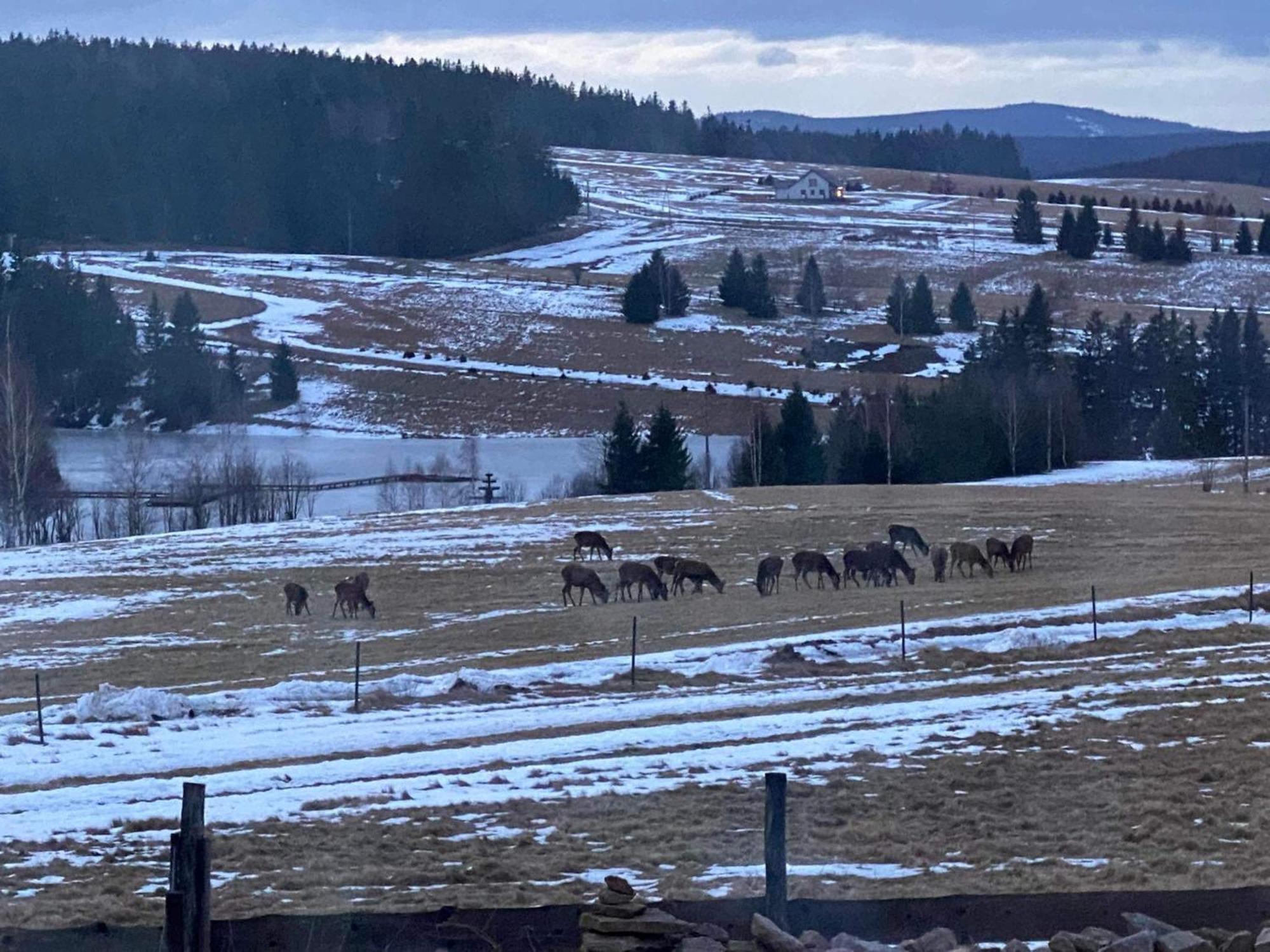 Wzgorze Owiec Sheep Hill Mostowice Bagian luar foto